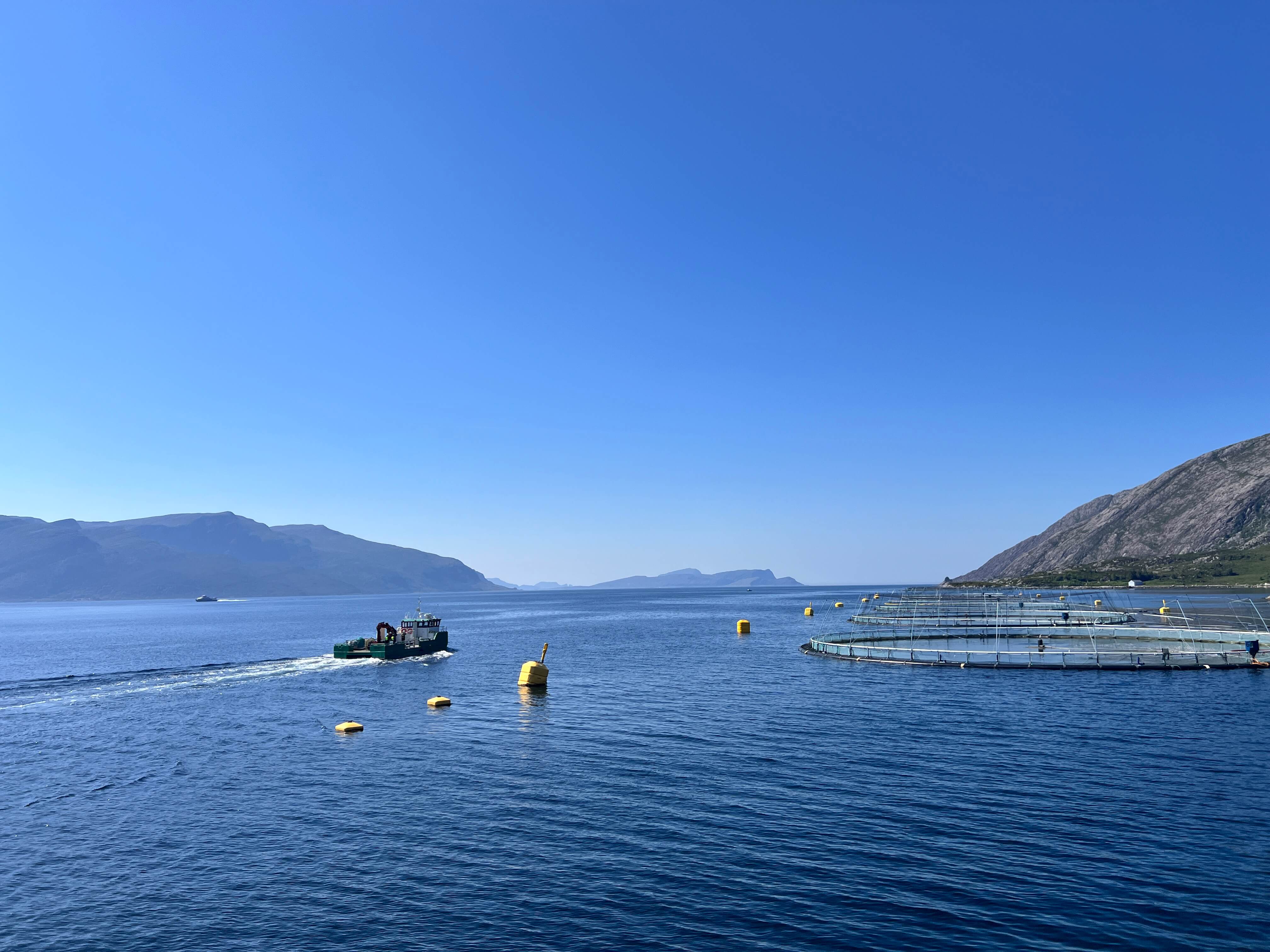 Zwischen Fjord und Verantwortung: Bio-Lachszucht in Norwegen